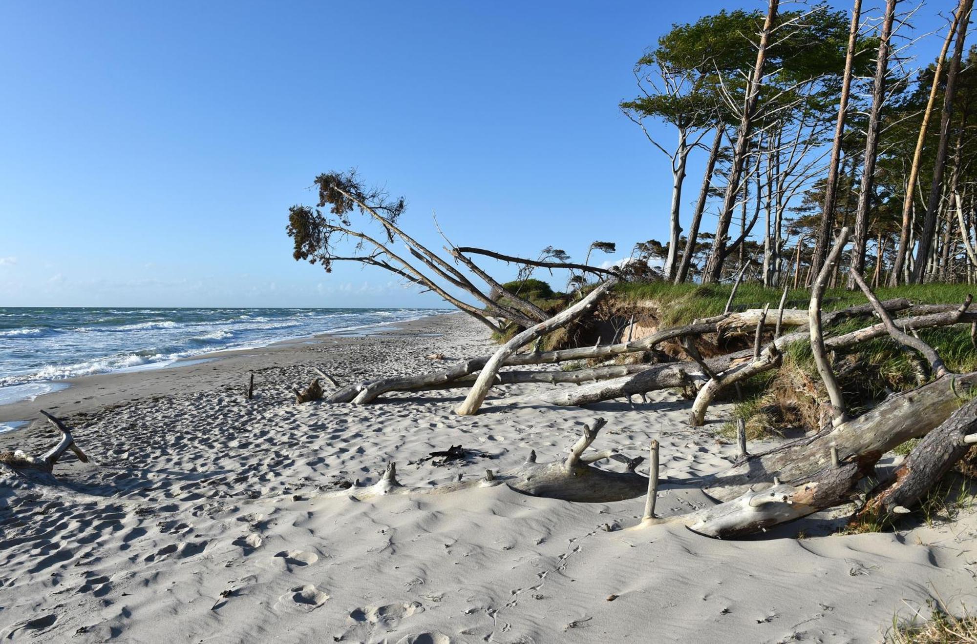 Meeresbrise im Ostseeheilbad Ostseeheilbad Zingst Exterior foto